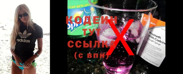 дживик Арсеньев