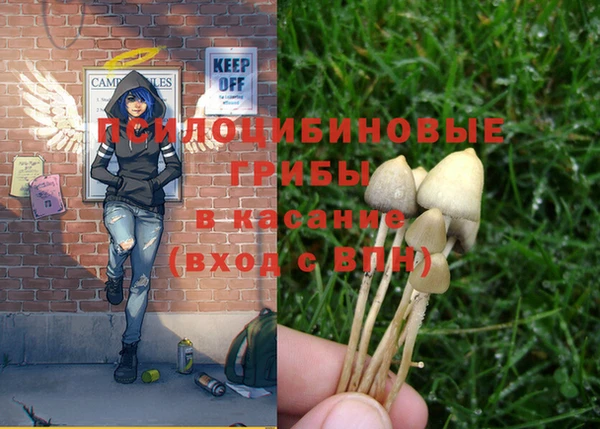 MDMA Premium VHQ Аркадак