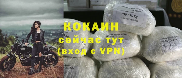дживик Арсеньев