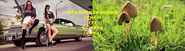 дживик Арсеньев